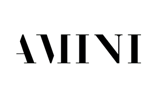 Amini