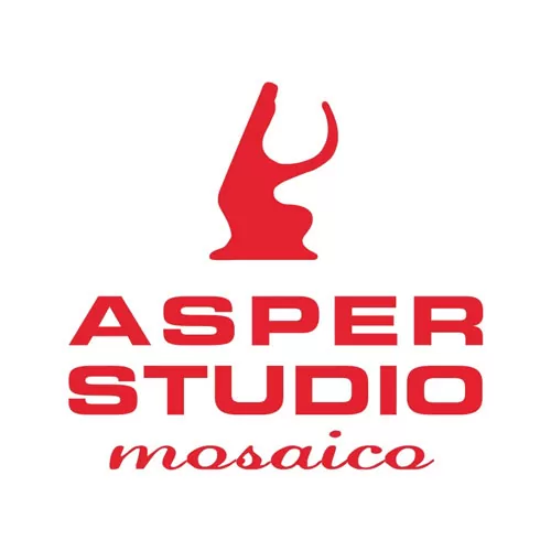 Asper Studio